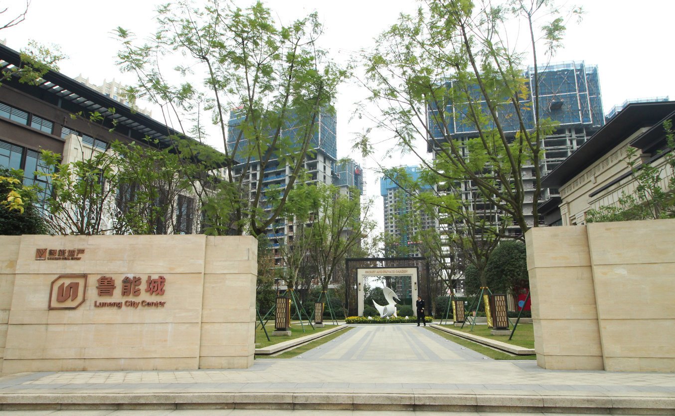 成都鲁能城最新房价概览与指南