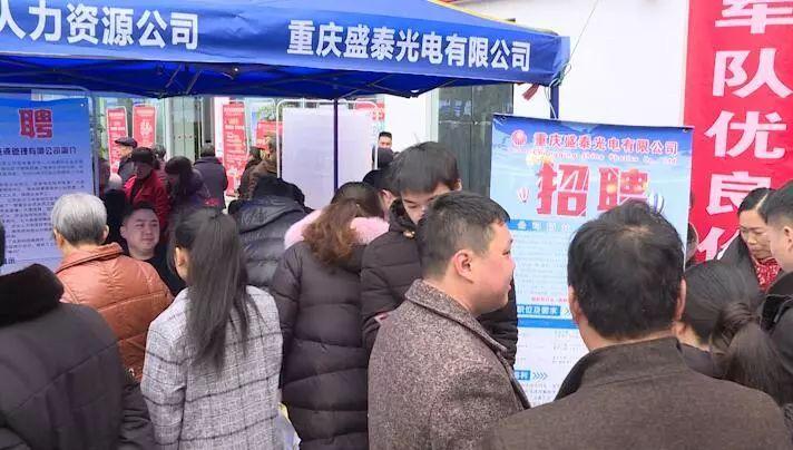 招聘概览
