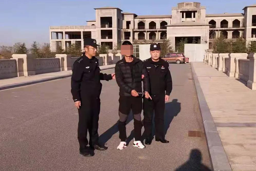 平度南村最新招聘信息汇总发布，求职者的福音！