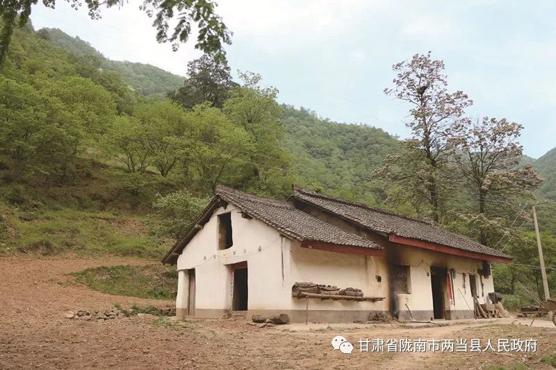 成县房屋出售最新动态，小巷深处的特色小店等你来探索！