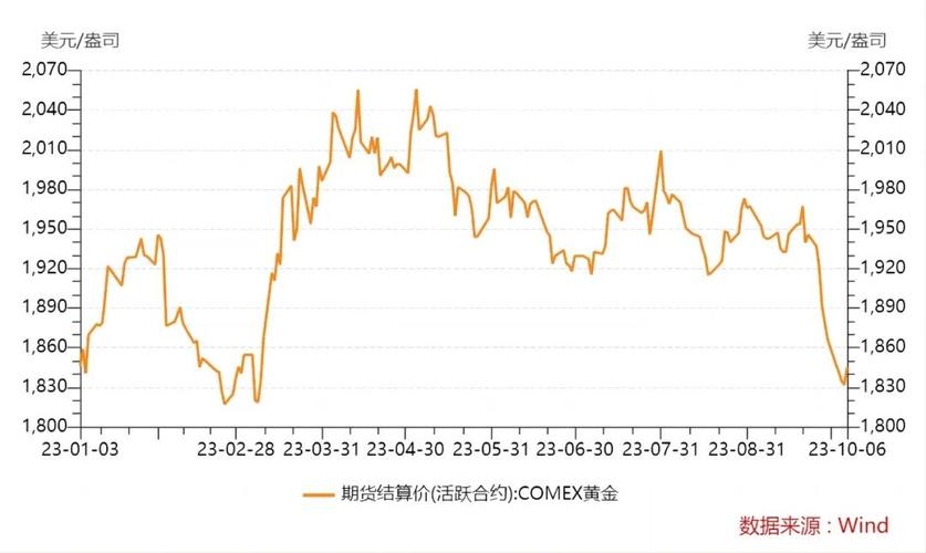 黄金价格走势最新动态，全面指南与步骤解析