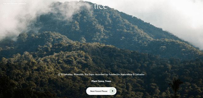 探索自然美景之旅，寻找内心平静，最新网址一网打尽