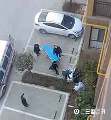 眉县最新动态更新