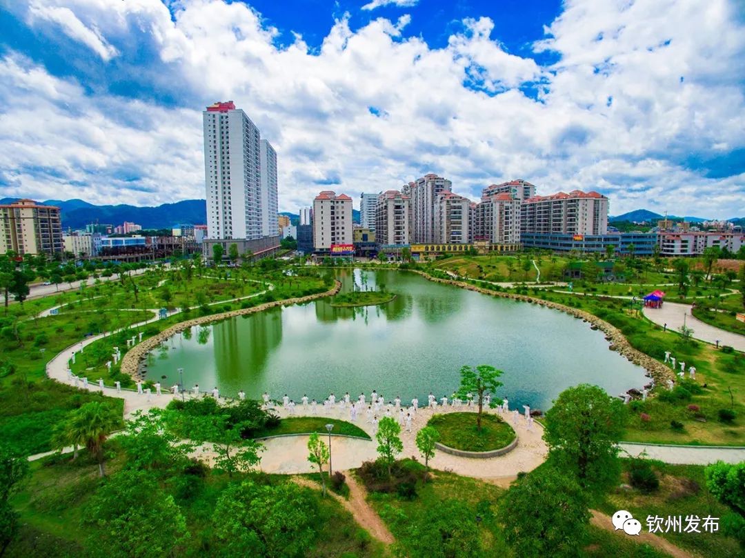 钦州最新动态概览