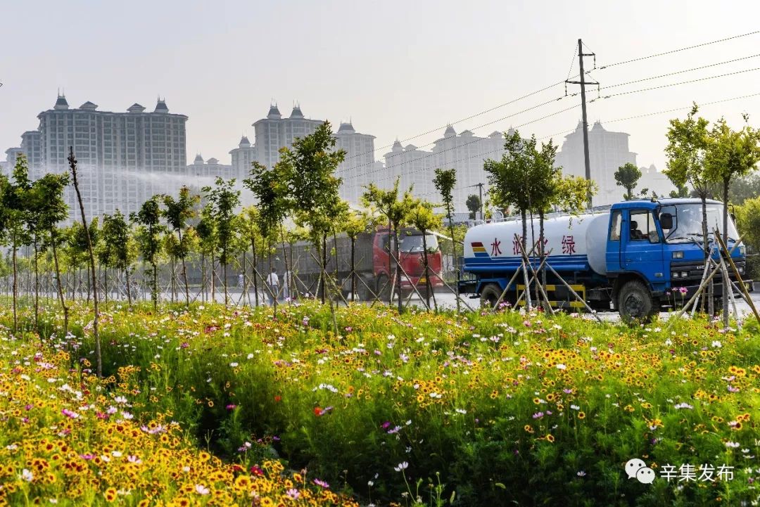 辛集上门最新，自信与成就感的励志之旅