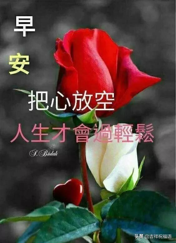 弱电波最新，与自然美景的心灵对话之旅