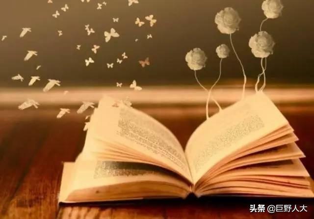最新江城文苑，自然美景探索与内心平和之旅