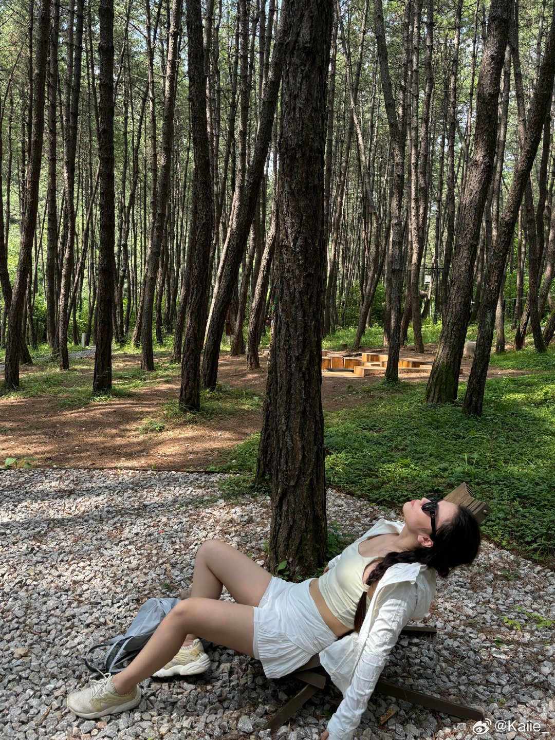 晓琳最新，拥抱自然的奇妙旅程