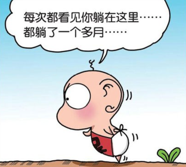 小呆头最新探索，启示与发现之旅