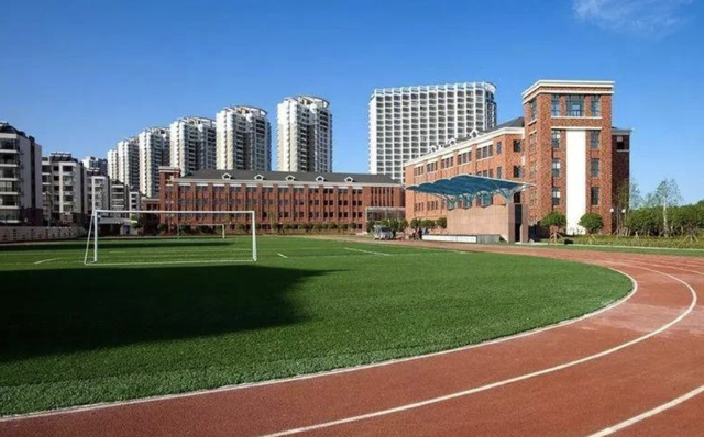 盘条最新价格，探寻价格与友情交织的温馨之旅