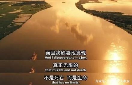 欧美风云变迁，时代浪潮下的最新发展与影响