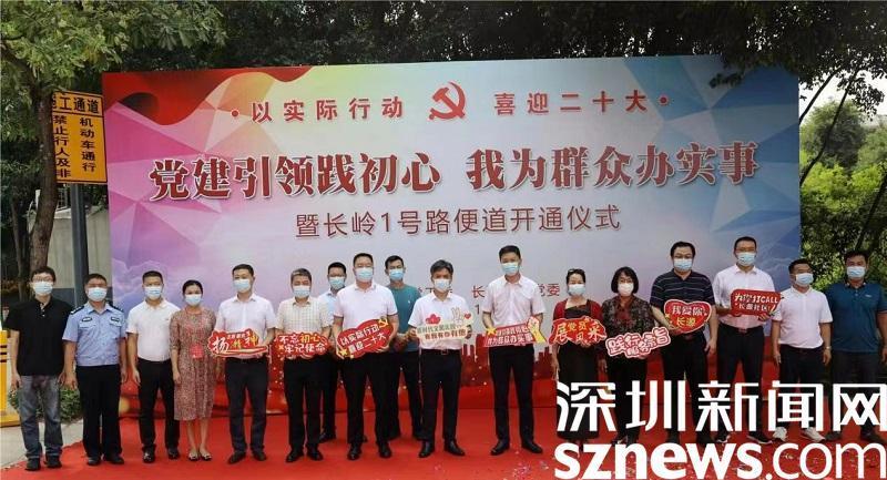 长岭最新新闻报道更新速递