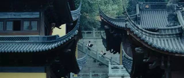 最新电影毒诫，小巷深处的隐藏瑰宝揭秘