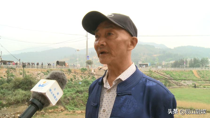 深度解析与观点