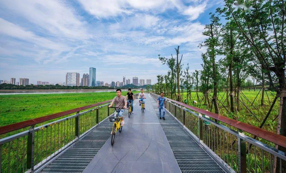 北仑改造计划，时代步伐引领城市蜕变之路