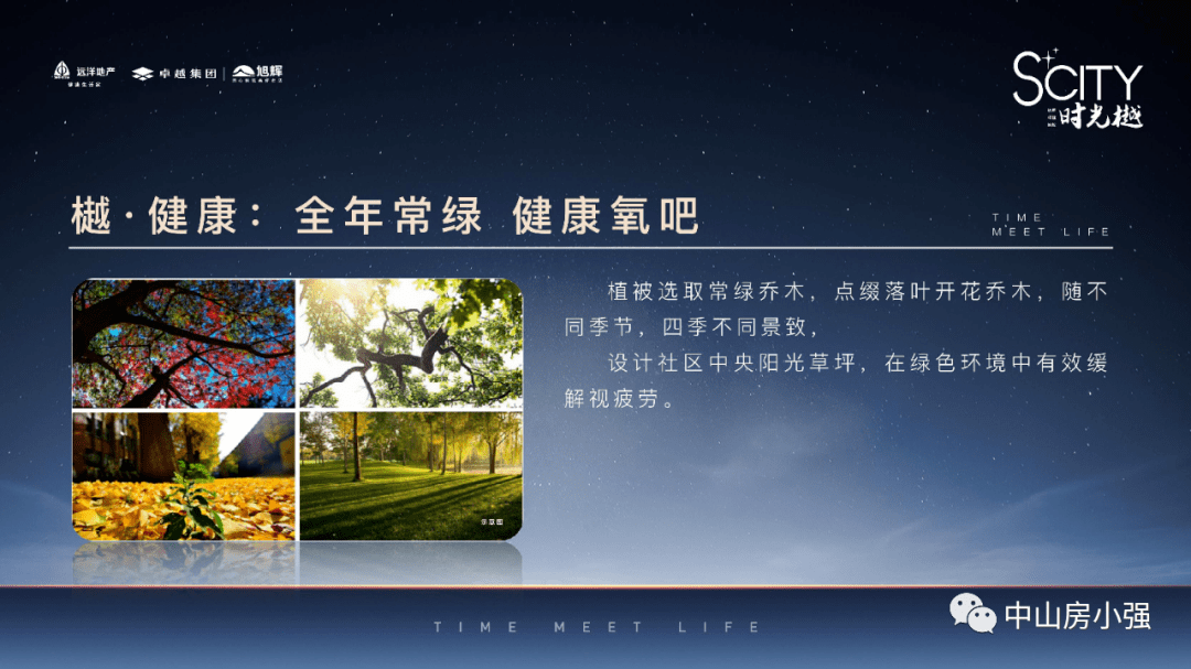 最新天珠视频解析，观点阐述与深度分析