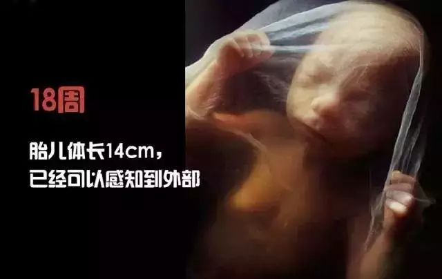 揭秘生命诞生旅程，最新分娩阵痛视频公开分享，直击分娩瞬间！