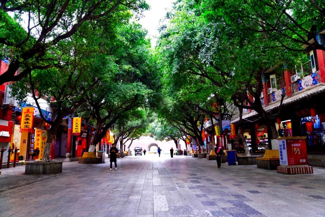 全国城市最新划分与巷弄深处的独特小店探秘