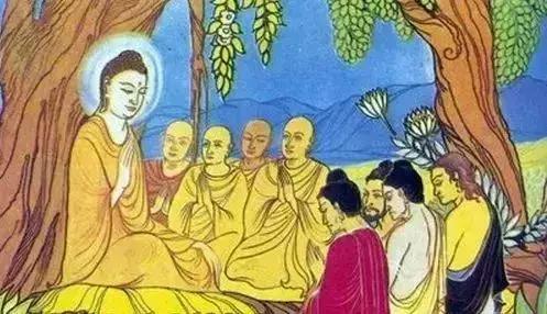 李宁悟道最新，自然美景的心灵探索之旅