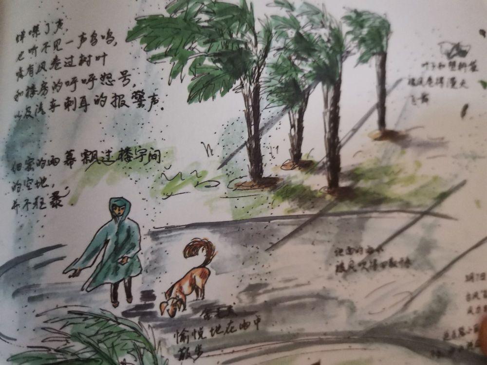 最新办公电脑,最新办公电脑，一场自然美景的心灵之旅