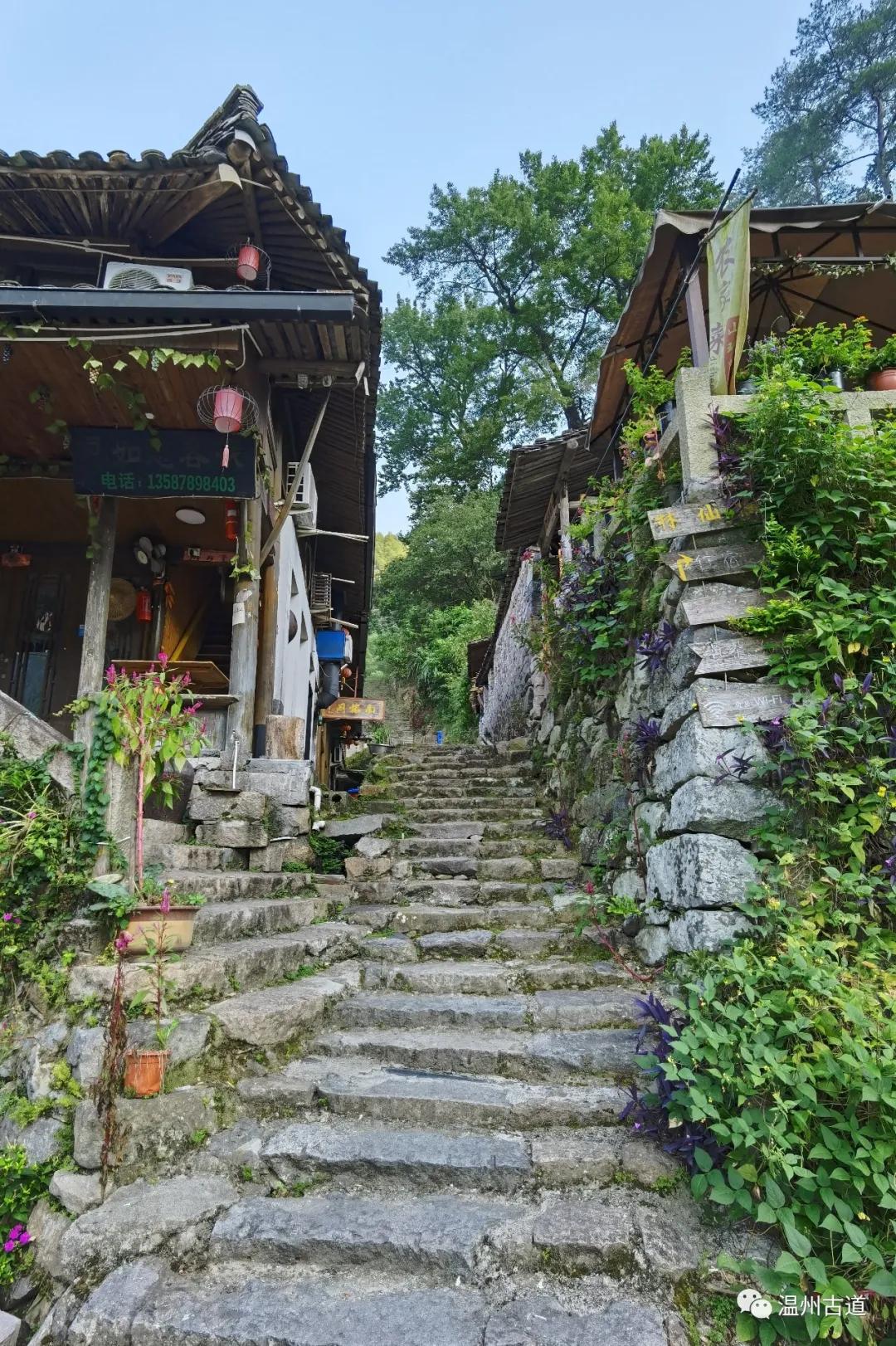 温州最新航拍，高空俯瞰下的科技重塑城市风采