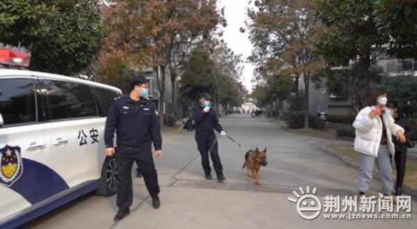 湖北松滋新闻聚焦，最新动态报道