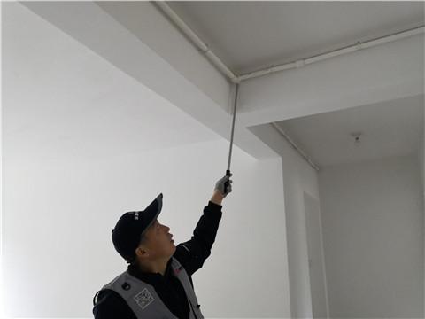 半岛问题最新动态,半岛问题最新动态的日常故事