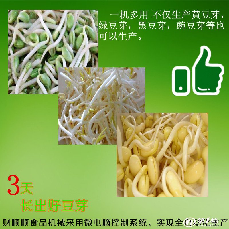 豆芽最新资讯更新，最新豆芽新闻动态