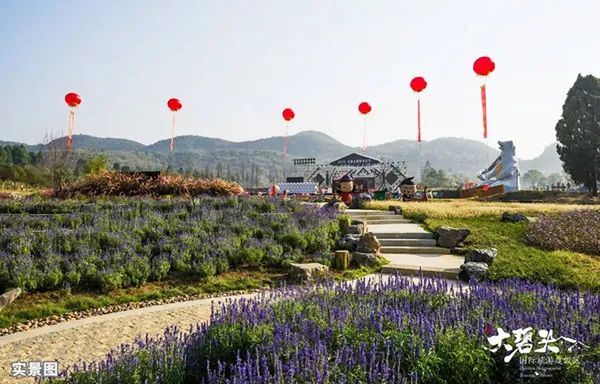 徐水最新房价，自然美景中的心灵平和探索之旅