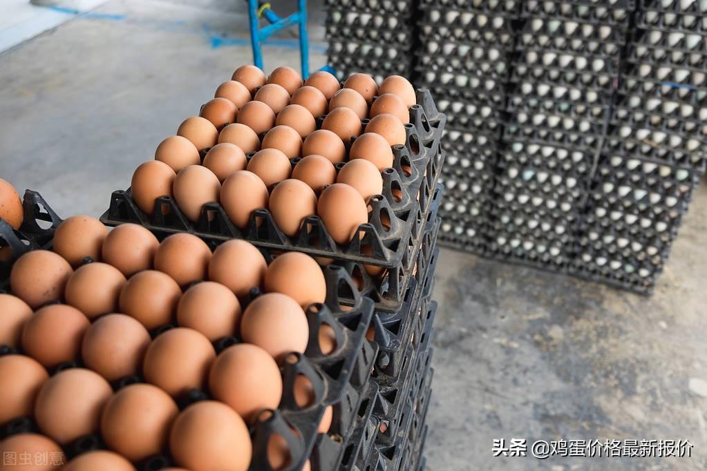 最新行情