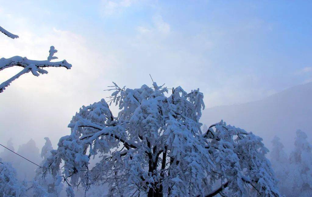 贾天降最新消息揭秘，自然美景探险之旅，探寻内心平和宁静之道