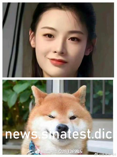 菲菲影视城最新动态，探索影视娱乐前沿的新领域