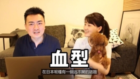 荣泰最新动态，拥抱自然，启程寻找内心宁静之旅