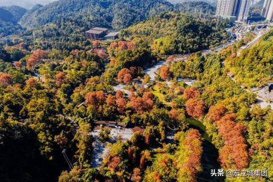 宏楠的自然探索之旅，网红最新资讯揭秘治愈之旅的奥秘