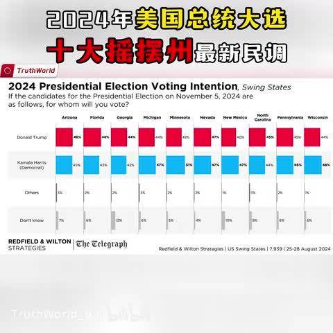 美国大选摇摆洲风起云涌，谁将执掌未来？