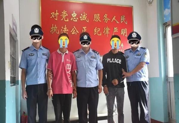带棚三轮，驾驭变化，自信驶向成功之旅
