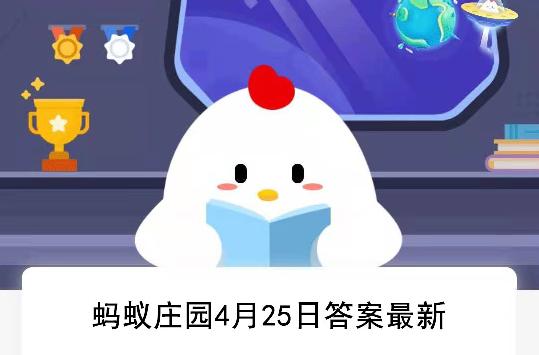 蚂蚁庄园4号最新答案揭秘，小巷特色小店探秘之旅