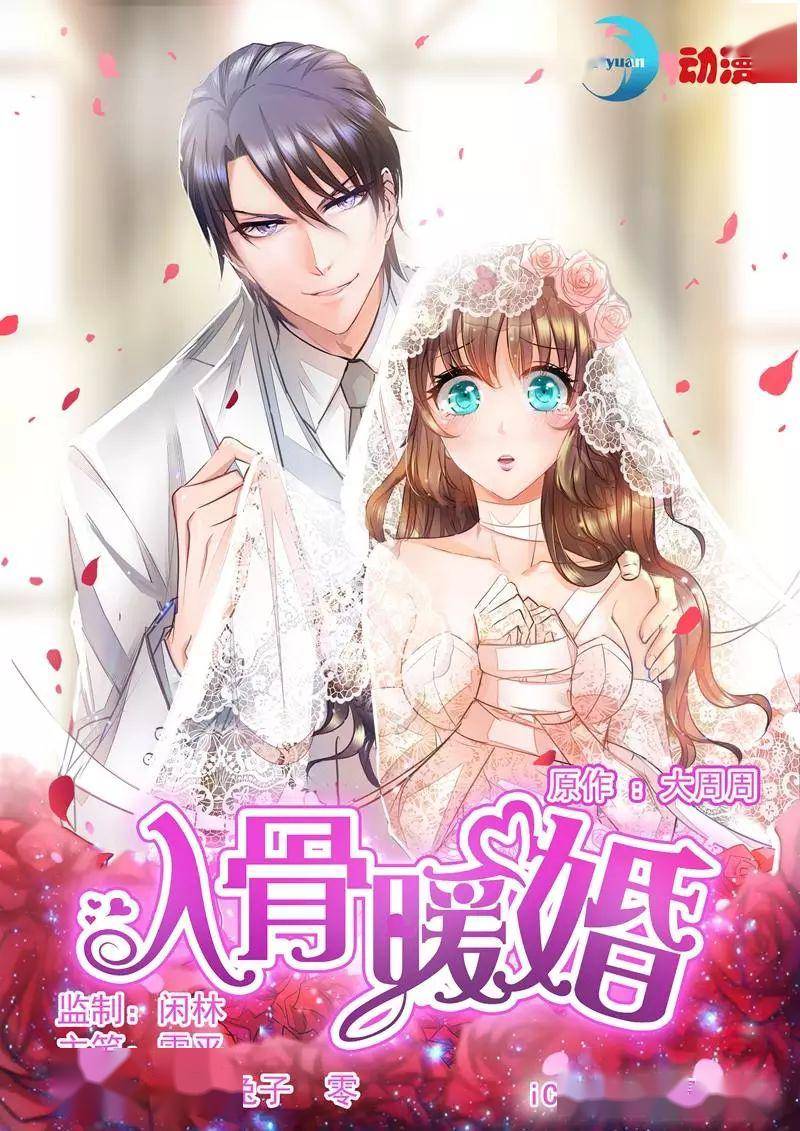 入骨暖婚全文最新免费阅读