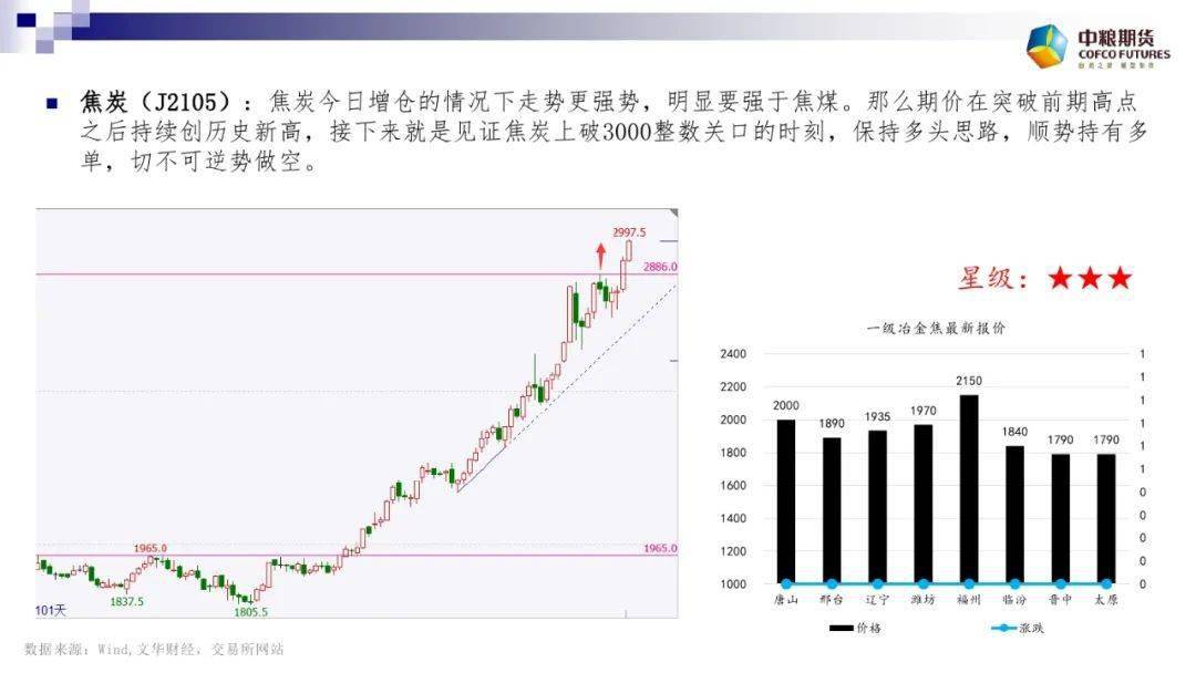 豆粕市场最新动态分析与趋势预测，最新消息综述及展望