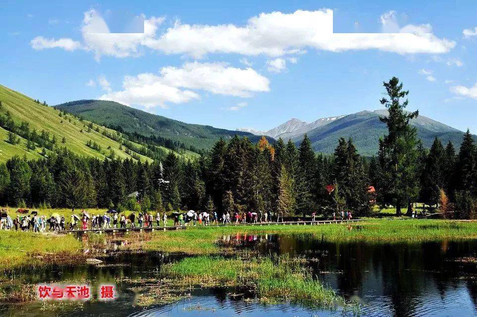 新疆景区最新动态更新，最新消息汇集