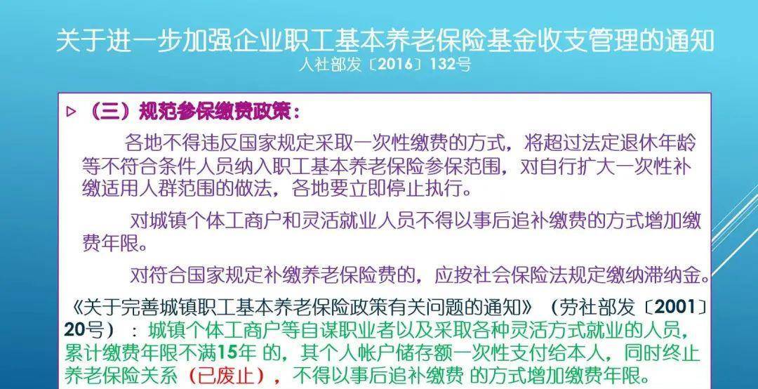 补缴养老保险最新规定详解与观点论述，政策解读与应对建议