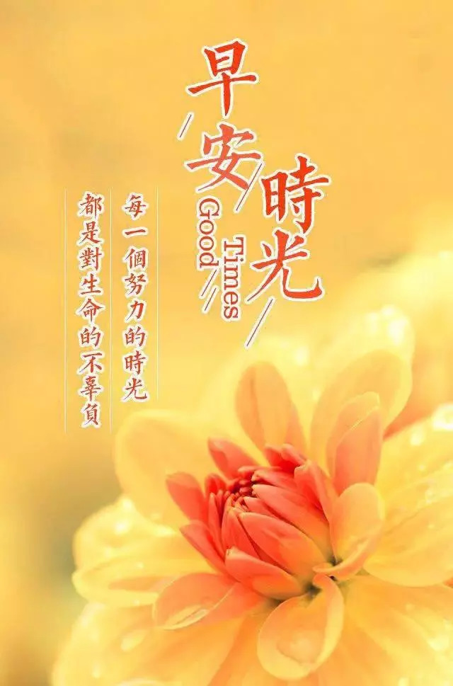 励志正能量早安语录，开启活力充沛的一天