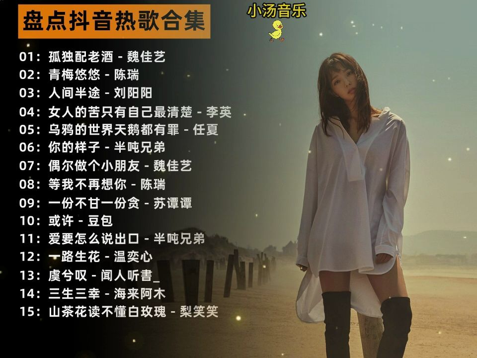 小巷深处的音乐宝藏，最新歌曲伴奏带歌词汇总
