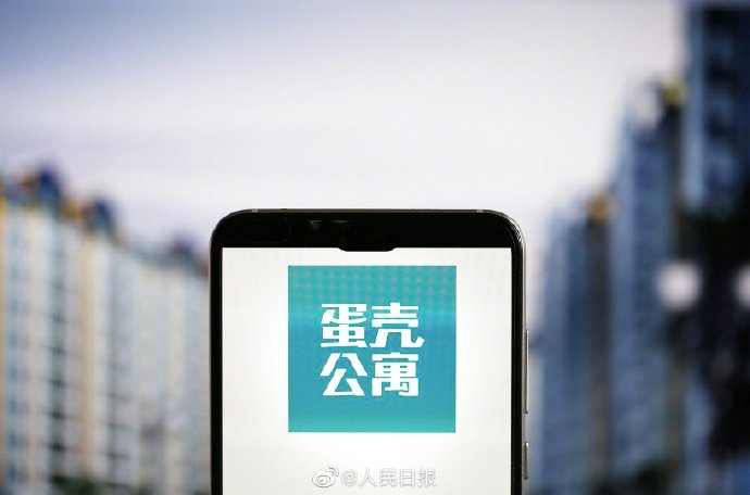 武汉蛋壳最新动态，全面指南与步骤教程