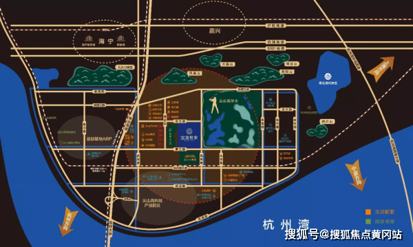 哥疫情最新动态，观点阐述与分析