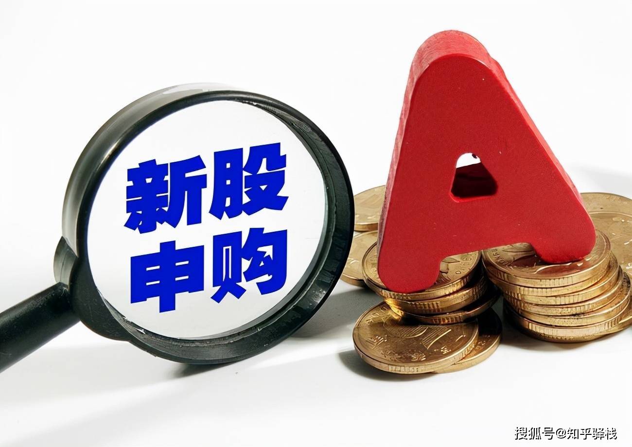 新三板中签最新详解，步骤指南与最新动态一网打尽！