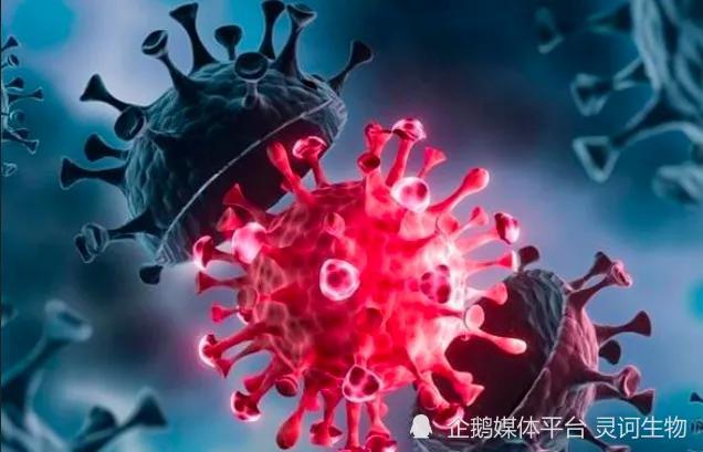 全球新冠疫情最新数据与观点论述分析