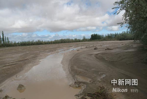 新疆洪水最新消息，多方视角解读与探析