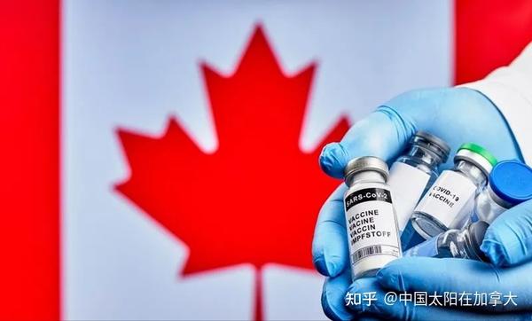 加拿大新冠疫苗最新动态，重磅更新与进展💉📣