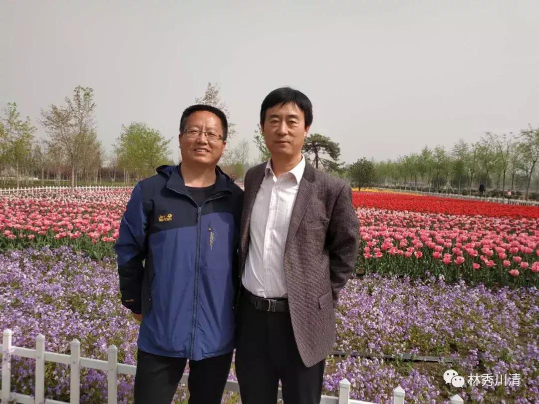 探索自然美景的旅行，最新个性主题带你寻找内心平和之地